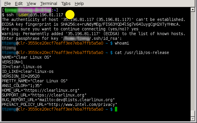 SSH login to the Clear Linux VM
